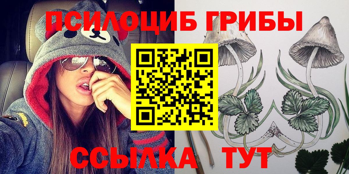 Кировск  хочу   Вход с VPN  Псилоцибиновые грибы Cubensis 